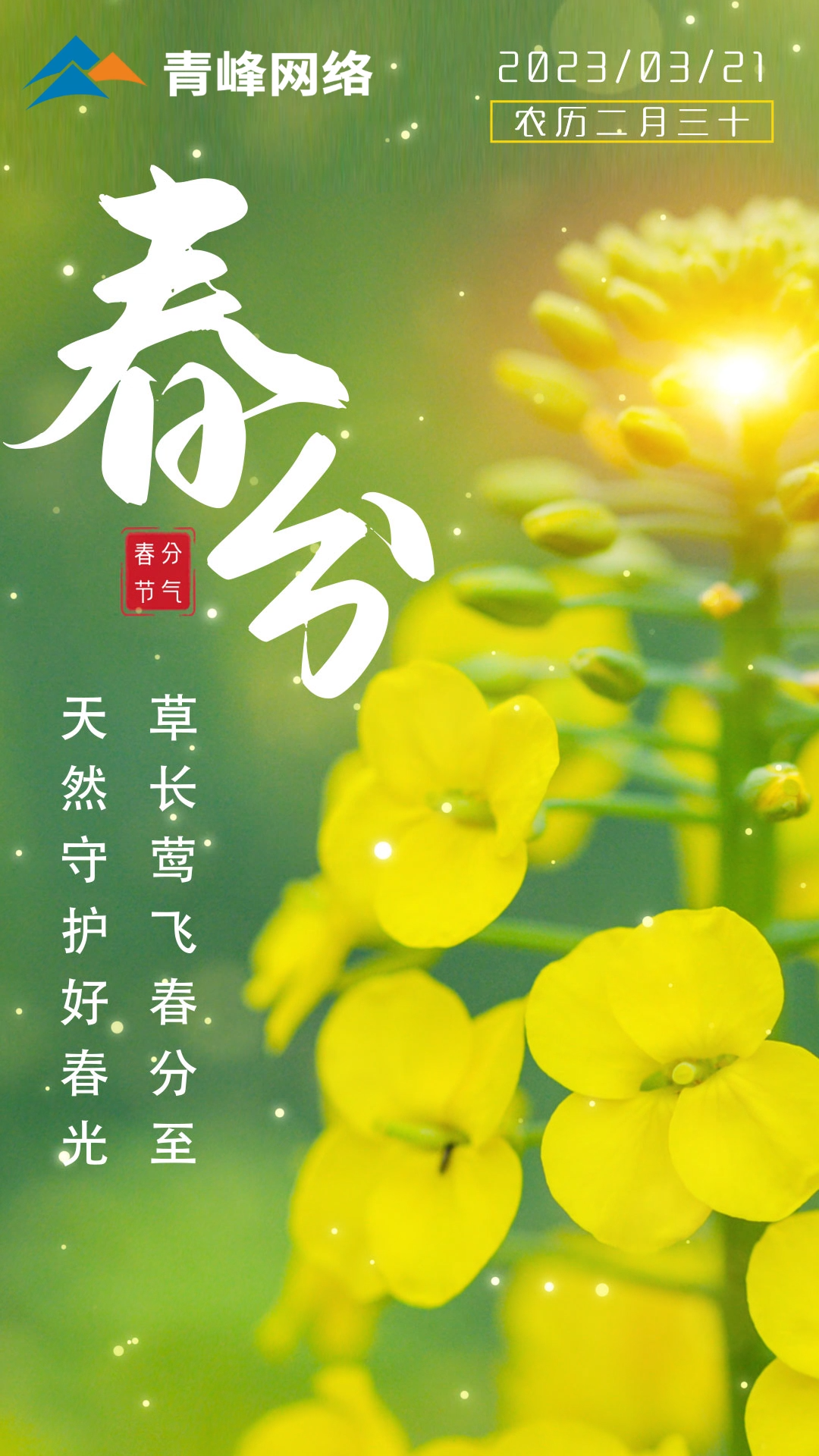 【春分】草長鶯飛春分至，天然守護好春光。